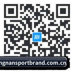Android 全机型版 二维码